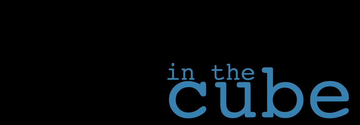 IN THE CUBE