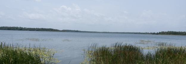 DRAU ECO-SMART VILLAGE DA VINCI LABION ECO-SMART VILLAGE DA VINCI LABION Abidjan Cote D'Ivoire